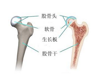 明白怎么有效的诊断男科